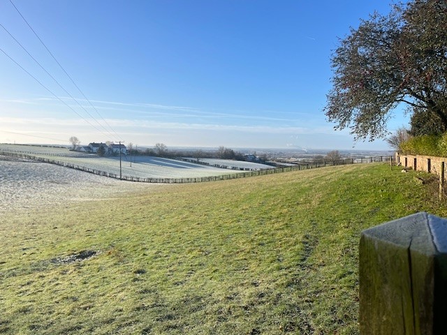 Field view with frost